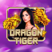 Dragon Tiger 789bingo app apk game