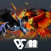 Sabong 789bingo app apk apk