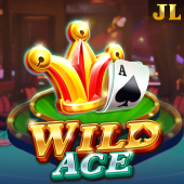 Wild Ace on 789bingo app apk